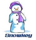 Fujian Snowman Co., Ltd. logo