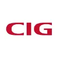 CIG ShangHai Co., Ltd. logo