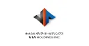 VIA Holdings,Inc. logo