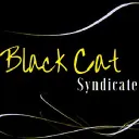 Black Cat Syndicate Limited logo