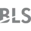 BLS International Services Limited logo