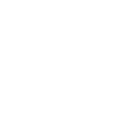 Cenntro Electric Group Limited logo