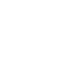 Torrid Holdings Inc. logo