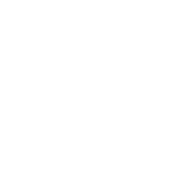 Draganfly Inc. logo