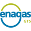 Enagás, S.A. logo