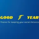 Goodyear India Limited logo