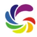 GSS Infotech Limited logo