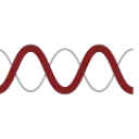 Molecular Templates, Inc. logo