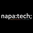 Napatech A/S logo