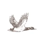 The Duckhorn Portfolio, Inc. logo