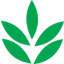 National Fertilizers Limited logo