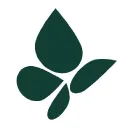 Pieridae Energy Limited logo