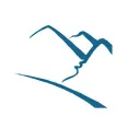 Pacific Edge Limited logo