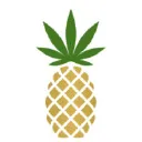 Pineapple, Inc. logo