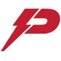 Pioneer Power Solutions, Inc. logo