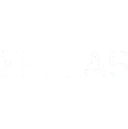 SELLAS Life Sciences Group, Inc. logo