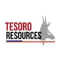 Tesoro Gold Ltd logo