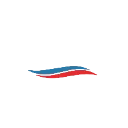 Twelve Seas Investment Company II logo