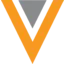 Veeva Systems Inc. logo