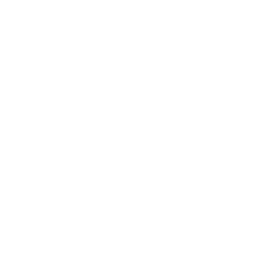 Vuzix Corporation logo